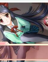 299 - Sakura 雪月华 花鳥風月プレミアムエディション中文汉化硬盘去广告纯净版