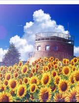 358 - 夏空的英仙座 夏空のペルセウス中文汉化硬盘去广告纯净版