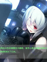 A2017 - 凍京NECRO 冻京necro Tokyo Necro v1.01.20230311 免安装中文步兵版[7.56GB]